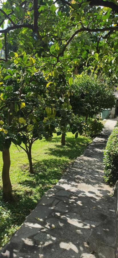 Bed & Breakfast Oasi Regina Pacis *